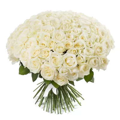 Белые розы в коробке (M) 43-47 роз - купить в интернет-магазине Rosa Grand