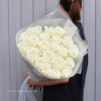 51 белая эквадорская роза | Белые розы | Kiwi Flower Shop