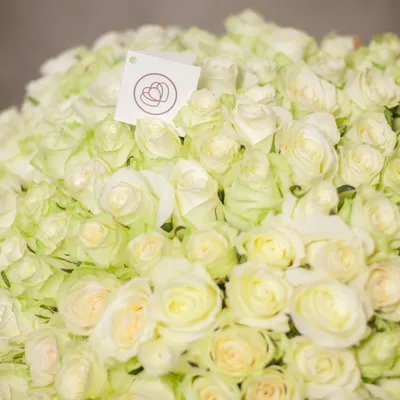 Белые розы 5 шт. купить за 1000 руб. в Пензе с доставкой