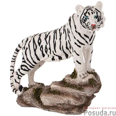 белые тигрята » Pressa.tv
