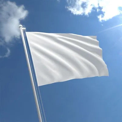 plain white flag . AI generative 23266064 PNG