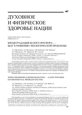 Армия Израиля применяла запрещенный белый фосфор в Газе — Human Rights  Watch - 13.10.2023, Sputnik Кыргызстан