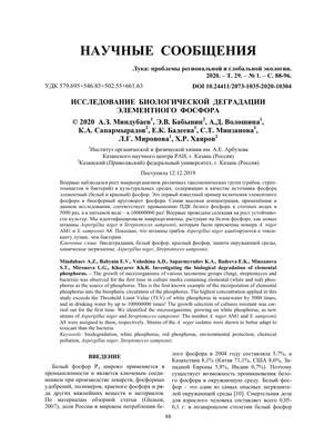 Химия и Химики № 2 2015. Горение белого фосфора под водой (белый фосфор,  хлорат калия, серная кислота)