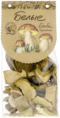 Boletus reticulatus, Белый гриб сетчатый