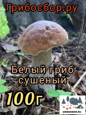 Купить маринованный белый гриб экстра: 590 руб за шт в Томске -  интернет-магазин Дикоед