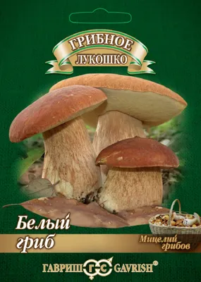 Купить белые грибы с доставкой. Лучшая цена, экстра качество
