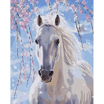 белый конь арт, арабский конь белый, белый конь, лошадь, белый, изображение  Форматы файлов png | PNGWing