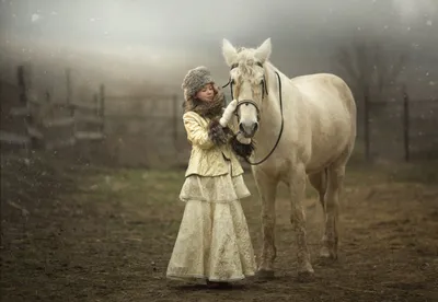 Белый Конь На Зеленом Поле — стоковые фотографии и другие картинки Без  людей - Без людей, Белая лошадь, Вертикальный - iStock