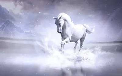 Фотообои Дикая природа \"Белый конь\" - арт 018000006 | Купить в  интернет-магазине Фото в дом