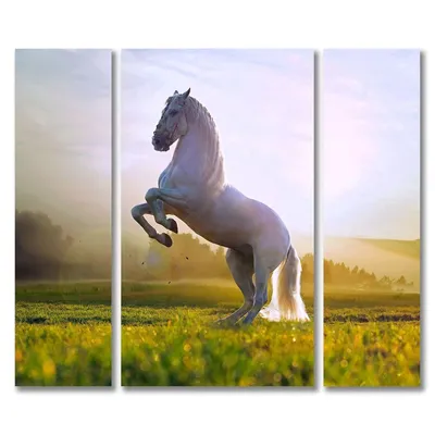 Ольга Князева | Кулон Белый конь - реалистичная миниатюрная живопись на  камне