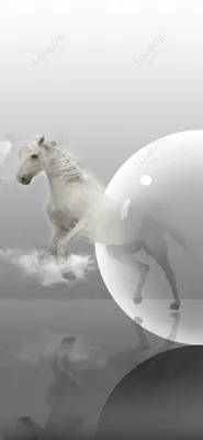 Белый конь скачать фото обои для рабочего стола (картинка 2 из 2)