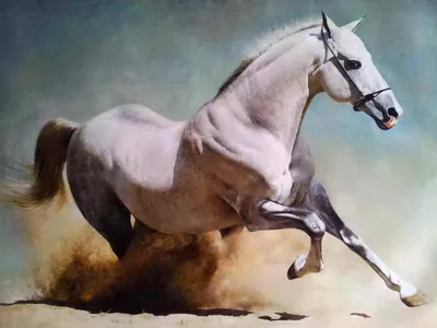 Картина Белый конь. Размеры: 40x60, Цена: 28990 рублей Художник Тарасова  Анна