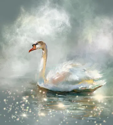 Afbeeldingsresultaat voor черный и белый лебедь | Swan pictures, White  swan, Swan