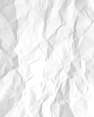 Белый лист минимализм на белом фоне…» — создано в Шедевруме