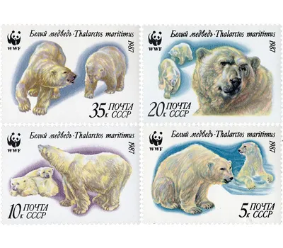 Надувной белый медведь | Купить в Москве по цене от производителя ☆ КубАэро  ☆