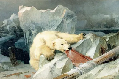 Белый медведь, зима, Арктика , …» — создано в Шедевруме