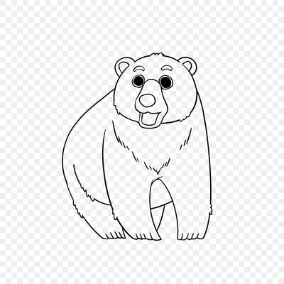 Рисунок белый медведь для детей - 41 фото