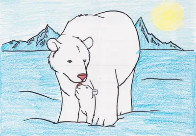 Рисунок белого медведя карандашом - 50 фото