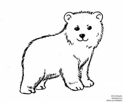 Раскраска Животные Белый медведь 6 » Раскраски.рф - распечатать картинки  раскраски для детей бесплатно онлайн!