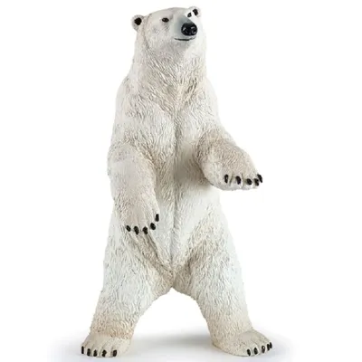 Белые медведи всегда в движении | Записки Филина | Дзен