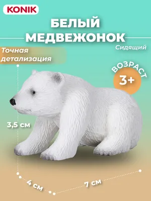 Белый медвежонок Кара стала международным послом в борьбе с глобальным  потеплением