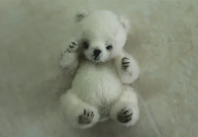 Белый медвежонок 3D модель - Скачать Животные на 3DModels.org