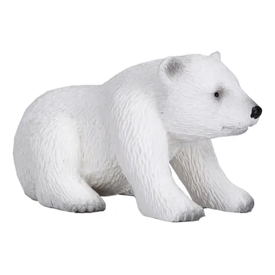 Белый медведь на самом деле чёрный? Исследование и объяснение феномена /  Оффтопик / iXBT Live