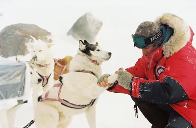 Фильм «Белый плен» / Eight Below (2006) — трейлеры, дата выхода | КГ-Портал