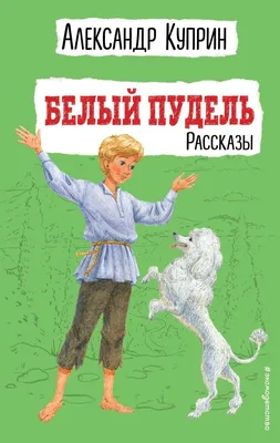 Пуделя щенка белого (50 фото) - картинки sobakovod.club
