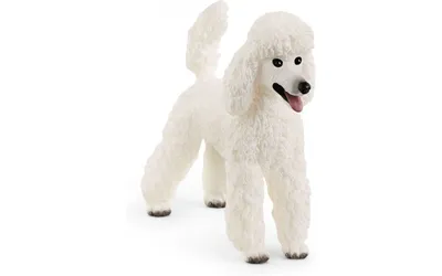 Купить фарфоровую статуэтку собаки Белый пудель, Hutschenreuther, Германия,  1970 гг по цене 26 800 руб. - Старивина