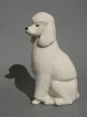 Собачка Белый пудель, 10 см, Chi Chi Love (5890208) купить в Киеве, в  каталоге интернет магазина Платошка