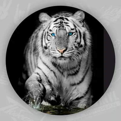 Нереальный белый тигр собраный из …» — создано в Шедевруме