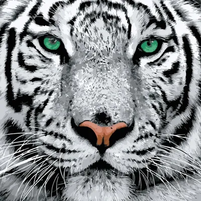 Белый тигр (муляж) в интернет-магазине Ярмарка Мастеров по цене 65438 ₽ –  1R5TBY | Картины, Плавск - доставка по России