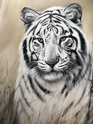 Фигурка Konik Mojo Белый тигр AMW2026 от Konik за 715 руб. Купить в  официальном магазине Konik