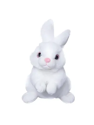 Мягкая игрушка All About Nature Белый заяц K8615-PT купить по цене 1250 ₽ в  интернет-магазине Детский мир