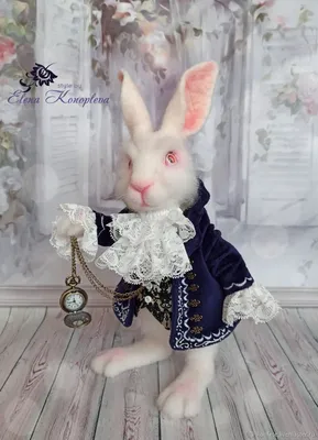 Белый кролик или зайчик или заяц отдыхает на земле Стоковое Фото -  изображение насчитывающей земля, снаружи: 188960258