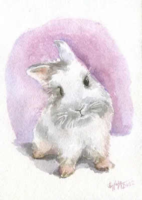 белый кролик с большими глазами в снегу, картинка снежного кролика, снег,  зима фон картинки и Фото для бесплатной загрузки