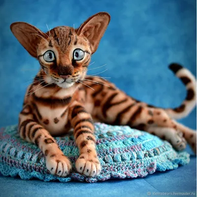 Бенгальская кошка 40х50 000 Hobby Home 7185695 купить за 1 113 ₽ в  интернет-магазине Wildberries