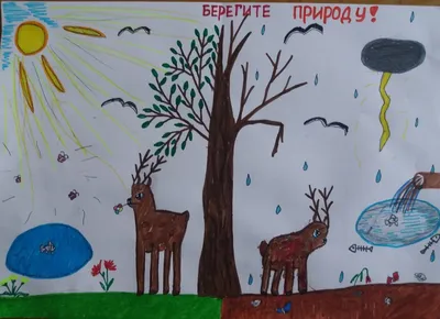 Выставка детских рисунков “Берегите природу!” – Муниципальное бюджетное  дошкольное образовательное учреждение центр развития ребенка- \"Детский сад  № 173\"
