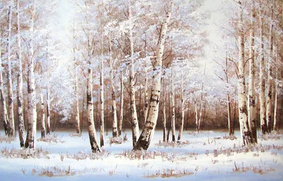 Березовый лес зимой, красивые березы - YouTube