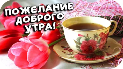 Скачать бесплатно картинки с добрым утром. Как начать утро? Если начать его  с улыбки, то весь день все будет удаваться. И н… | Открытки, Доброе утро,  Милые открытки