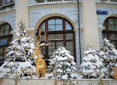 Настоящая русская зима в Москве и бесплатные катки бонусом к ней | ИСКРА |  Дзен