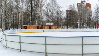Бесплатные занятия скандинавской ходьбой продолжатся в парке Подольска зимой  - Спорт - РИАМО в Подольске