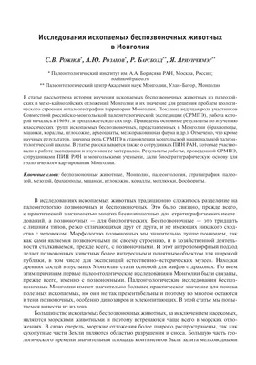 Редкие беспозвоночные животные - Кочетова Н.И., Акимушкина М.И., Дыхнов В.Н.