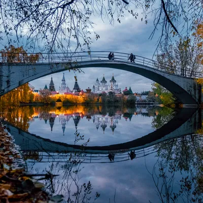 Самые красивые цветы в мире - Цветочка