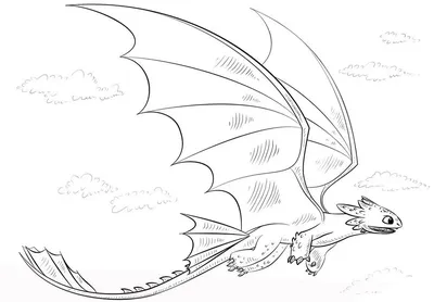 Картинка дракон беззубик играет ❤ для срисовки