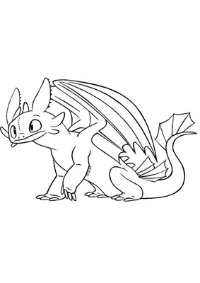 Как нарисовать Беззубика / How to draw Toothless | Disney drawing tutorial,  Dragon sketch, Cute easy drawings