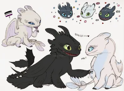 Картинка дракон беззубик с фурией и маленькими дракончиками ❤ для срисовки