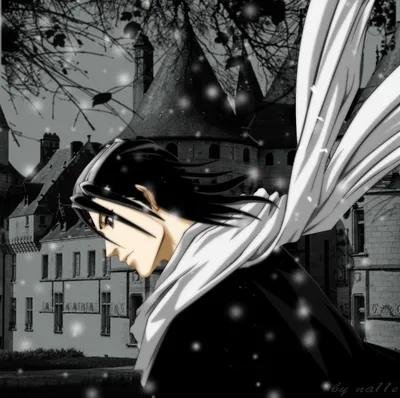 ❀ Бьякуя Кучики ❀ | Wiki | Bleach •|РОЛЕВАЯ|• Блич Amino