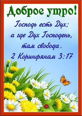 Пин от пользователя Христианские открытки на доске Доброго времени суток |  Христианские картинки, Библейские цитаты, Христианские цитаты